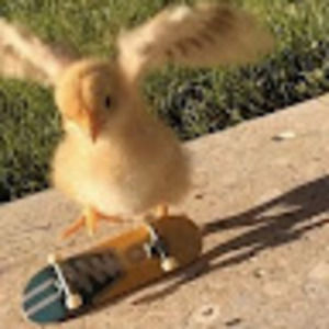 Meet your Posher, Aleecia